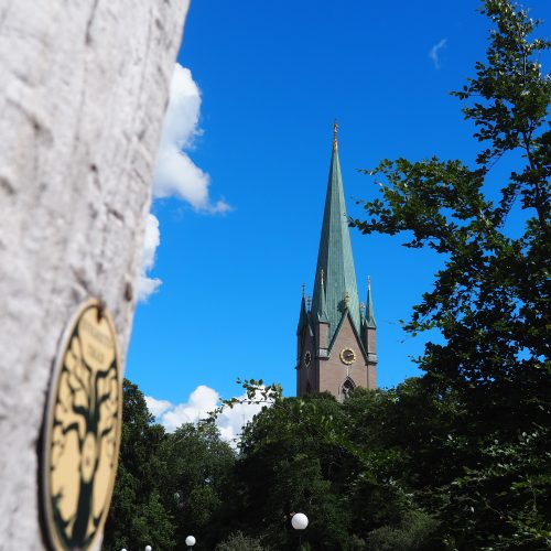 Biologisk mångfald, död ved, Linkoping, Skyddsvart träd