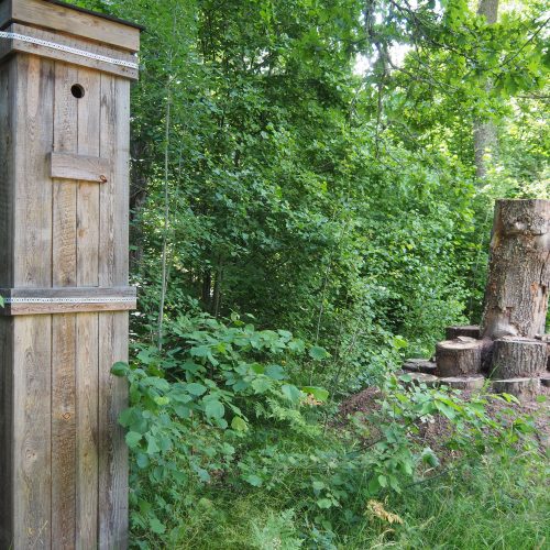Biologisk, mångfald, mulmbox, ekoxekompost