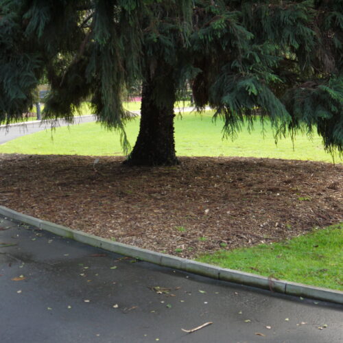 Mulch, kronradie