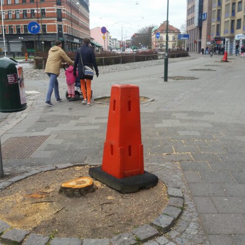Fällning, dålig växtbädd