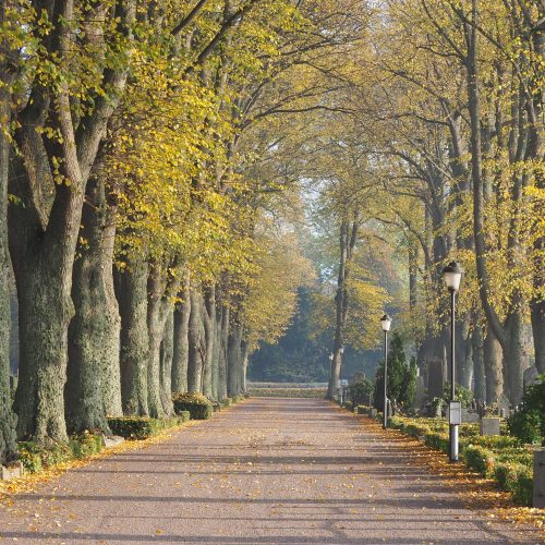 Kyrkogård, Södra kyrkogården, Kalmar, allé, höst