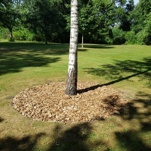 Kyrkogård, Fosie, Malmö, mulch