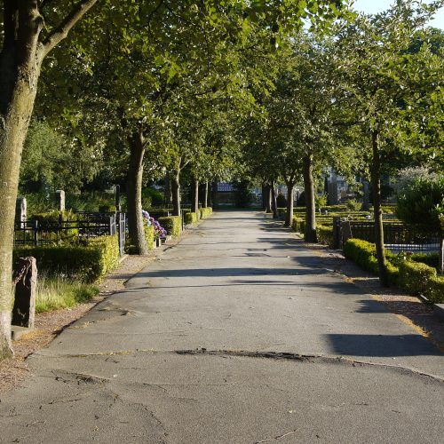 Kyrkogård, Pauli, Kyrkogård, Malmö, rotuppträngning