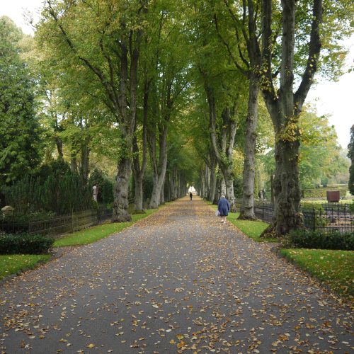 Lind, allé, Lund, kyrkogård